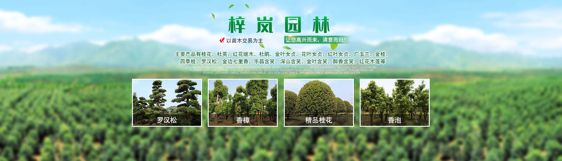 湖南梓嵐園林景觀有限責(zé)任公司_湖南苗木銷(xiāo)售|造型苗木|喬灌木類(lèi)|精品小苗